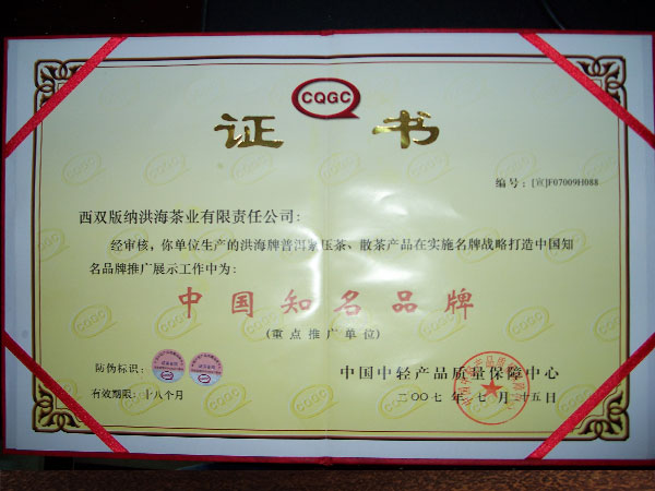 2007年中国知名名牌