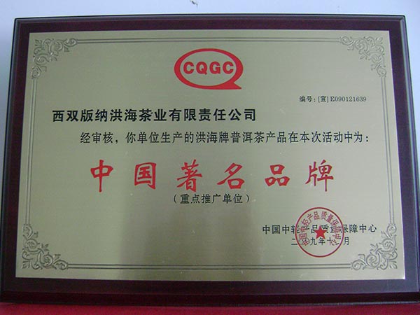 2009年中国著名品牌
